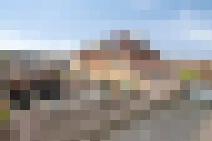 Koekoeksbloem 1 Swifterbant thumbnail 33