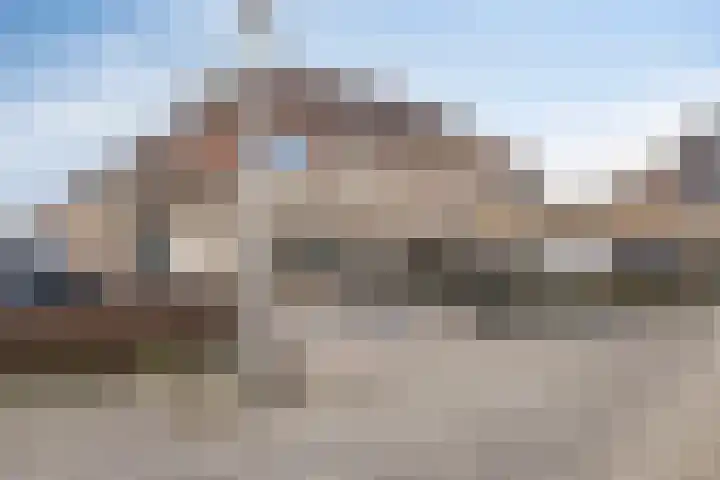 Koekoeksbloem 1 Swifterbant thumbnail 34