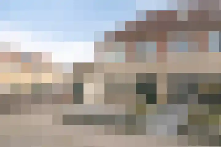 Koekoeksbloem 1 Swifterbant thumbnail 36