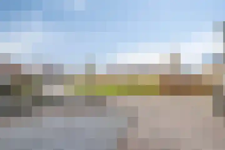 Koekoeksbloem 1 Swifterbant thumbnail 37