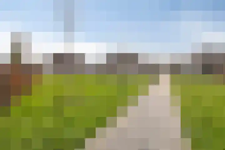 Koekoeksbloem 1 Swifterbant thumbnail 38