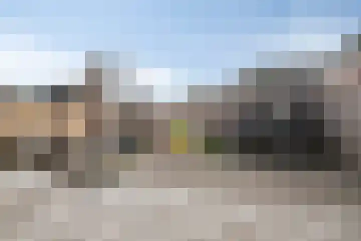 Koekoeksbloem 1 Swifterbant thumbnail 4