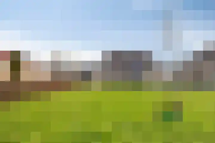 Koekoeksbloem 1 Swifterbant thumbnail 40