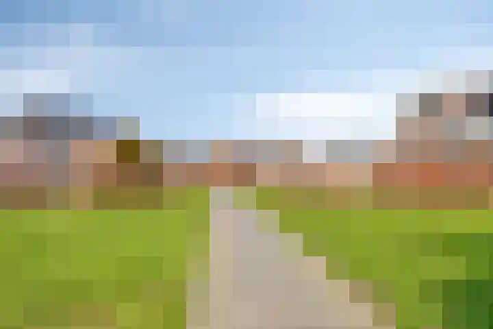 Koekoeksbloem 1 Swifterbant thumbnail 41