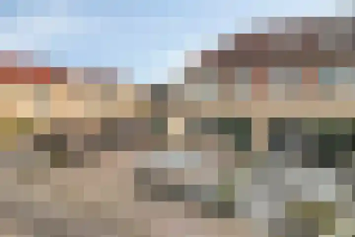 Koekoeksbloem 1 Swifterbant thumbnail 5