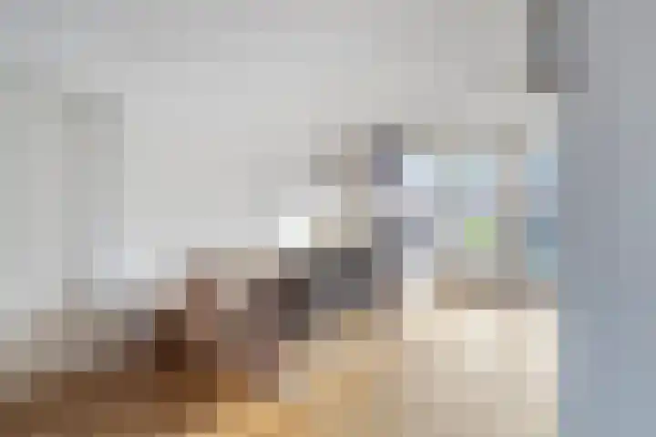 Koekoeksbloem 1 Swifterbant thumbnail 9
