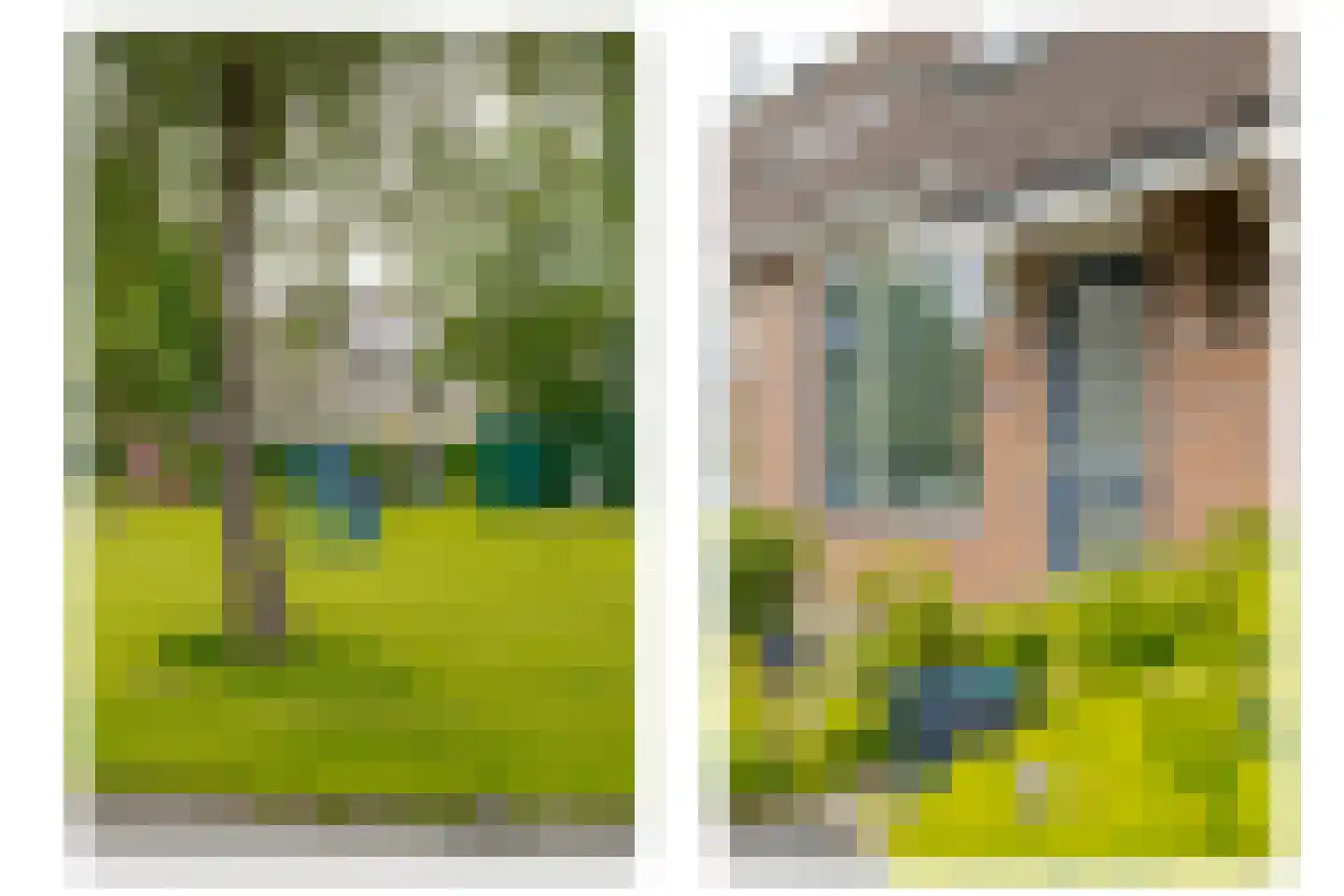 Koekoeksbloem 10 Roden thumbnail 10