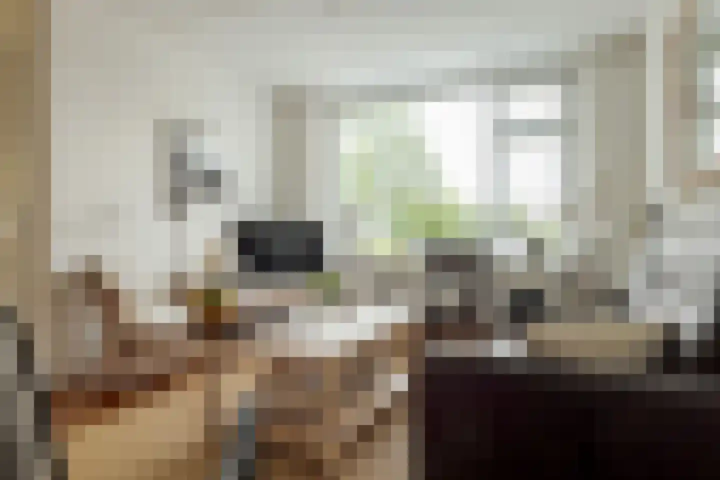Koekoeksbloem 10 Roden thumbnail 15