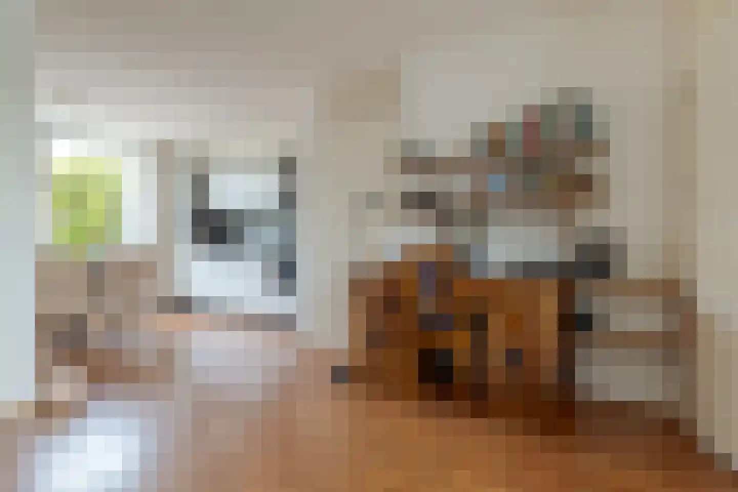 Koekoeksbloem 10 Roden thumbnail 18