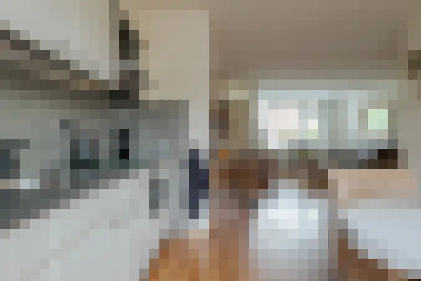 Koekoeksbloem 10 Roden thumbnail 24