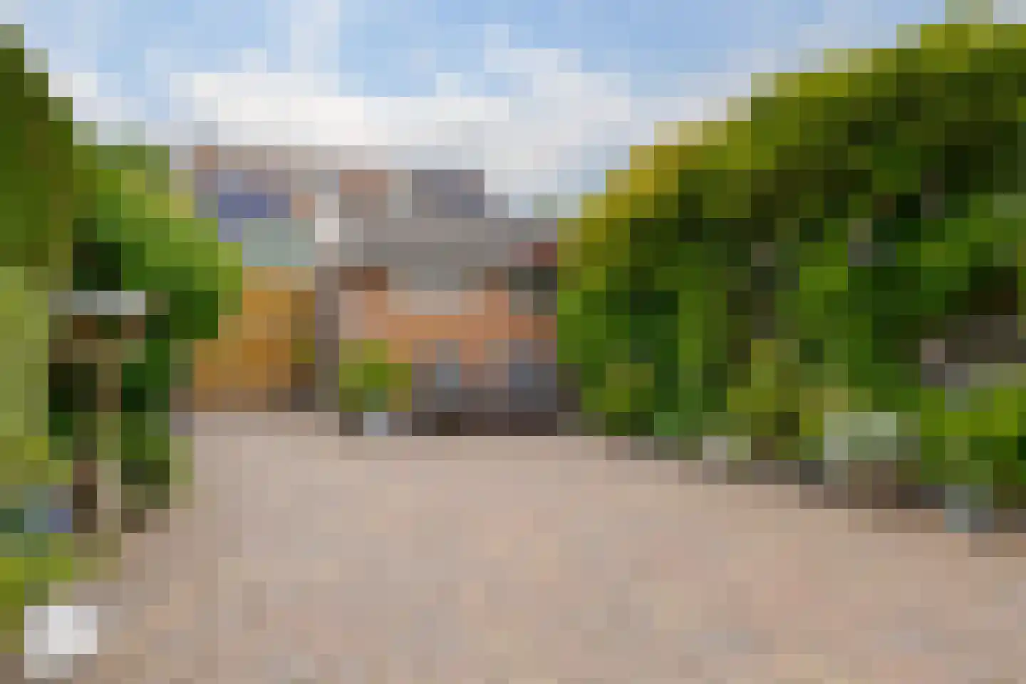 Koekoeksbloem 10 Roden thumbnail 30