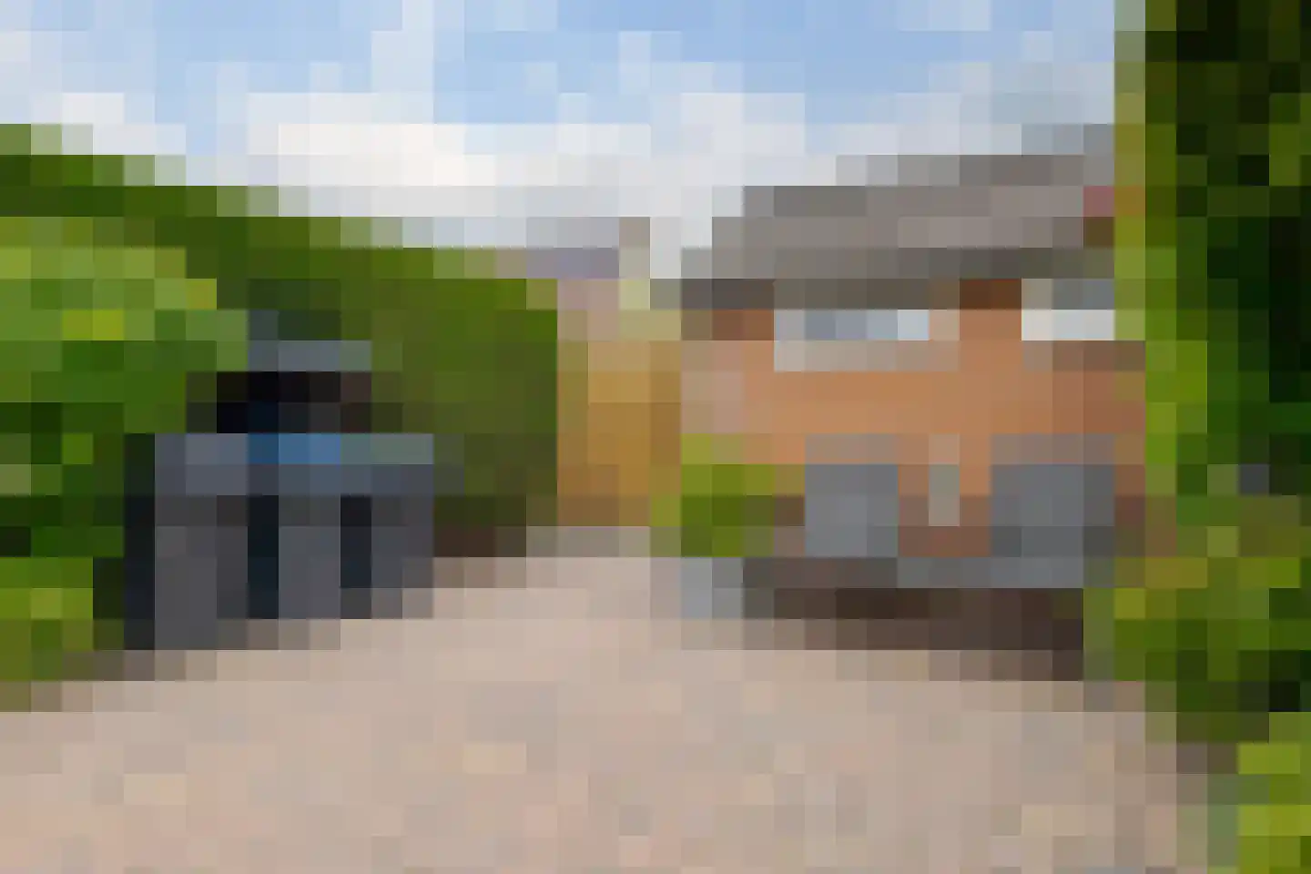 Koekoeksbloem 10 Roden thumbnail 31