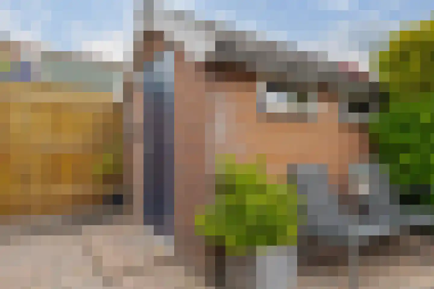 Koekoeksbloem 10 Roden thumbnail 33