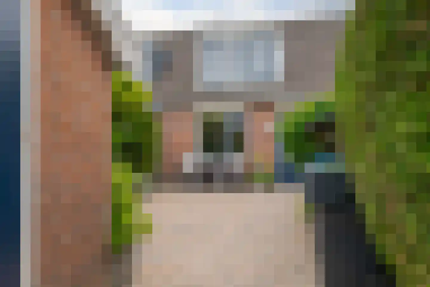 Koekoeksbloem 10 Roden thumbnail 34