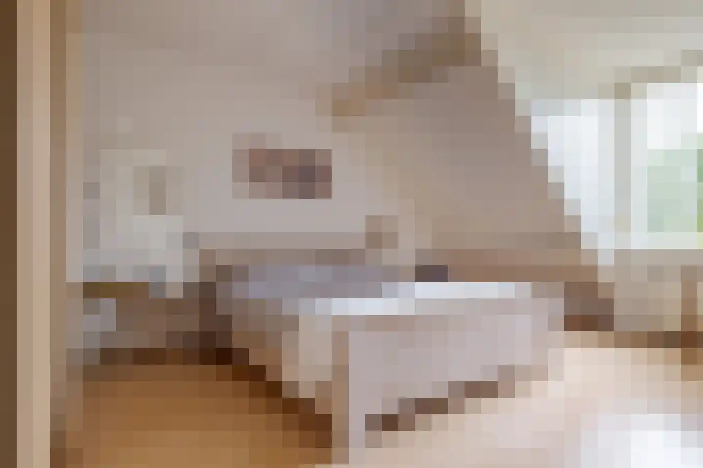 Koekoeksbloem 10 Roden thumbnail 37