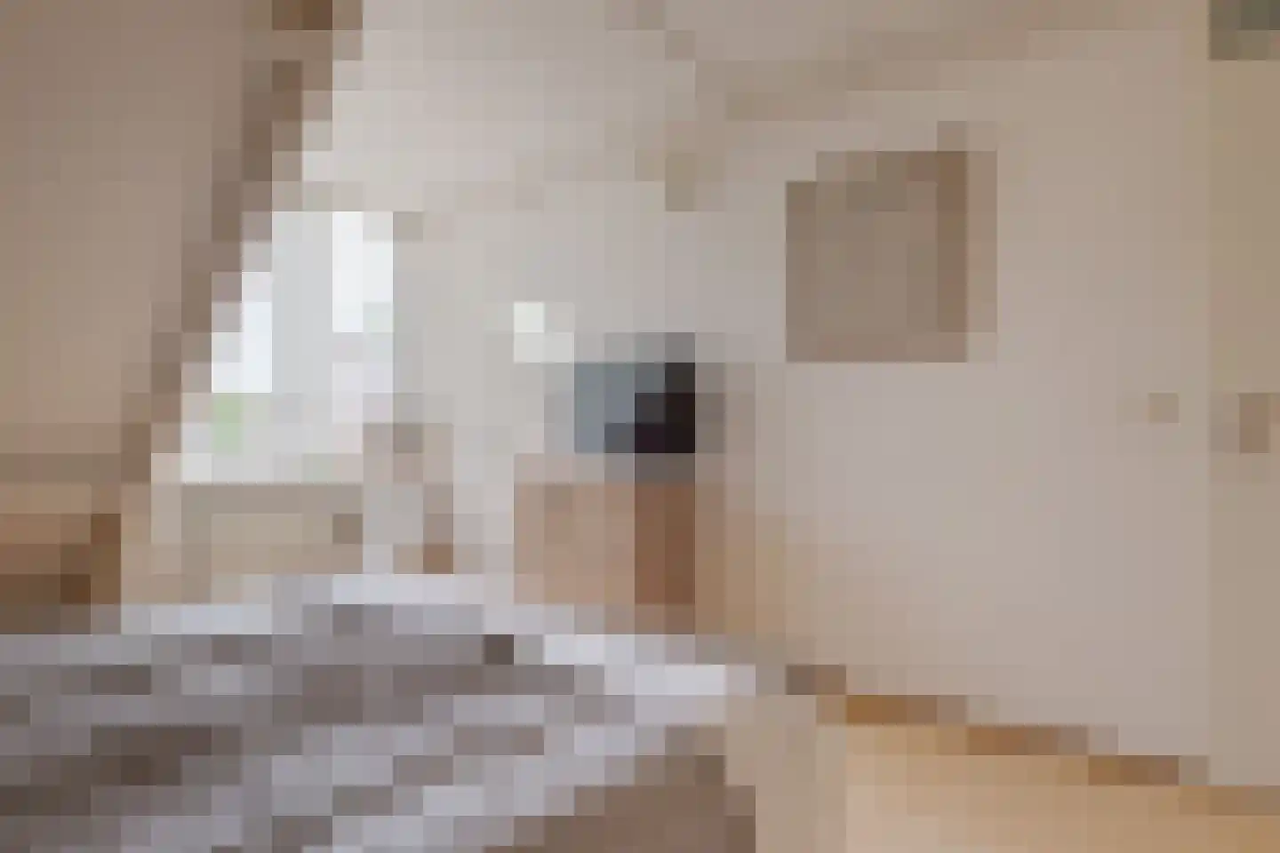 Koekoeksbloem 10 Roden thumbnail 38