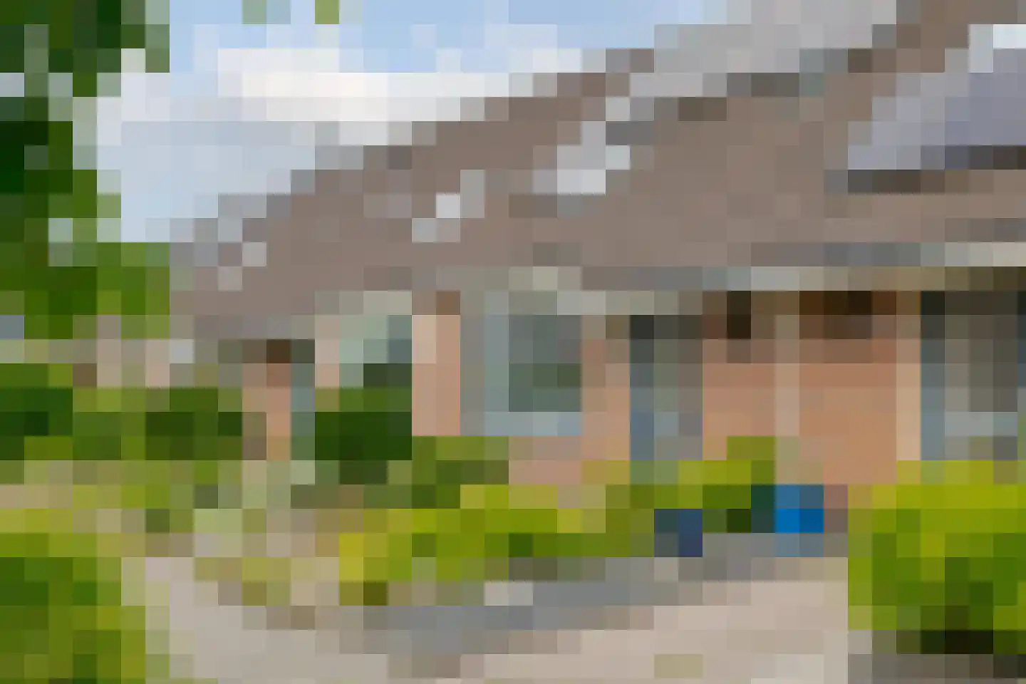 Koekoeksbloem 10 Roden thumbnail 5