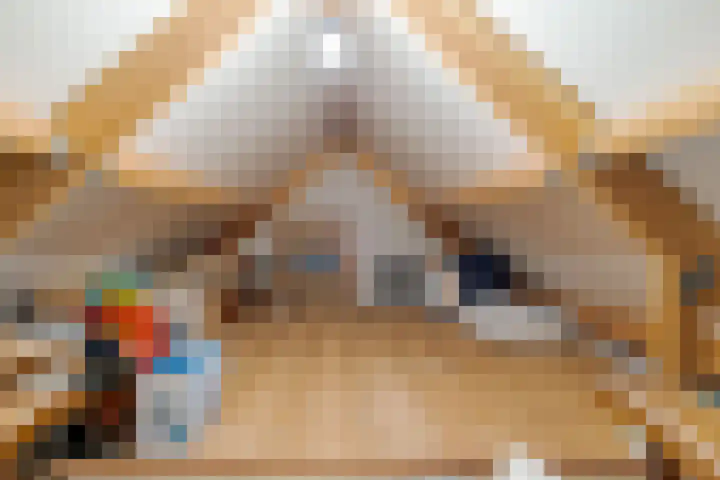 Koekoeksbloem 10 Roden thumbnail 51