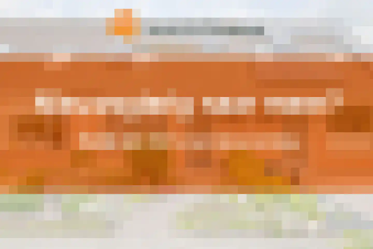 Koekoeksbloem 10 Roden thumbnail 6
