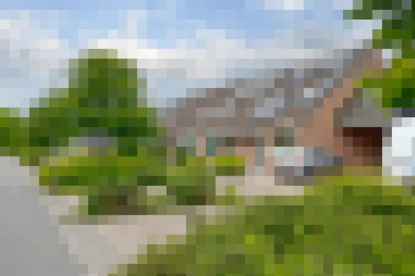 Koekoeksbloem 10 Roden thumbnail 7