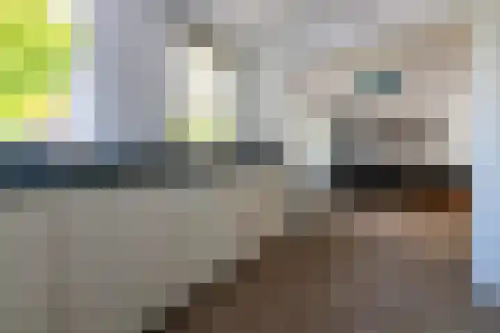 Koekoeksbloem 104 Odijk thumbnail 10