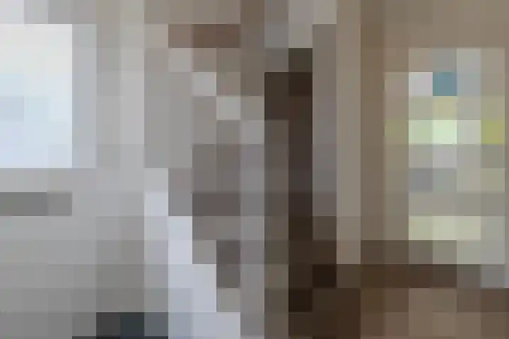 Koekoeksbloem 104 Odijk thumbnail 12