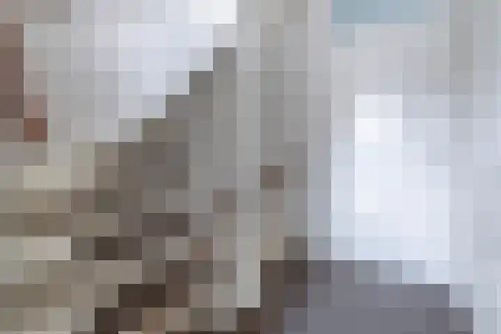 Koekoeksbloem 104 Odijk thumbnail 19