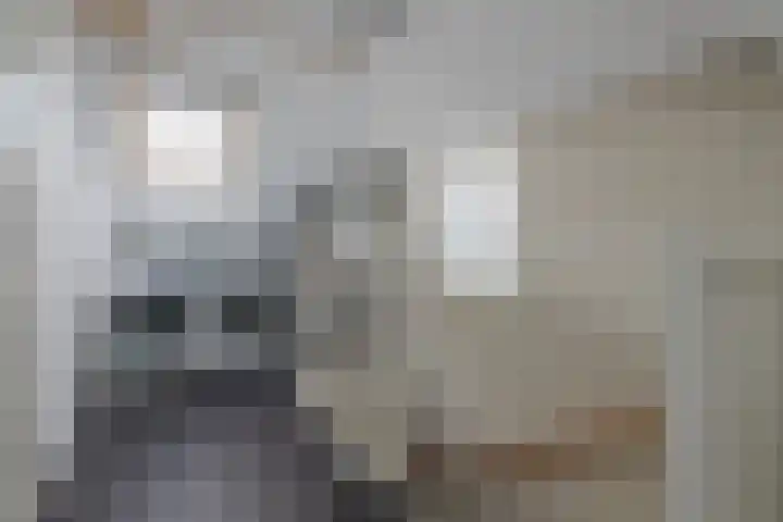 Koekoeksbloem 104 Odijk thumbnail 20