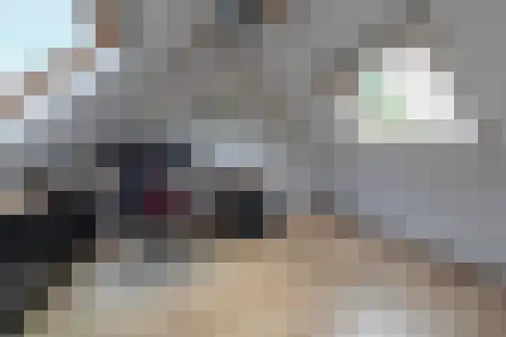 Koekoeksbloem 104 Odijk thumbnail 21