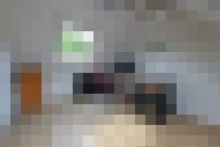 Koekoeksbloem 104 Odijk thumbnail 22
