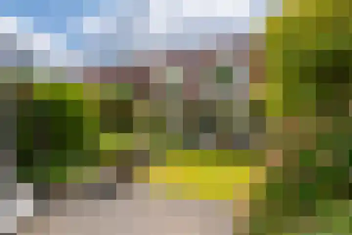 Koekoeksbloem 104 Odijk thumbnail 28