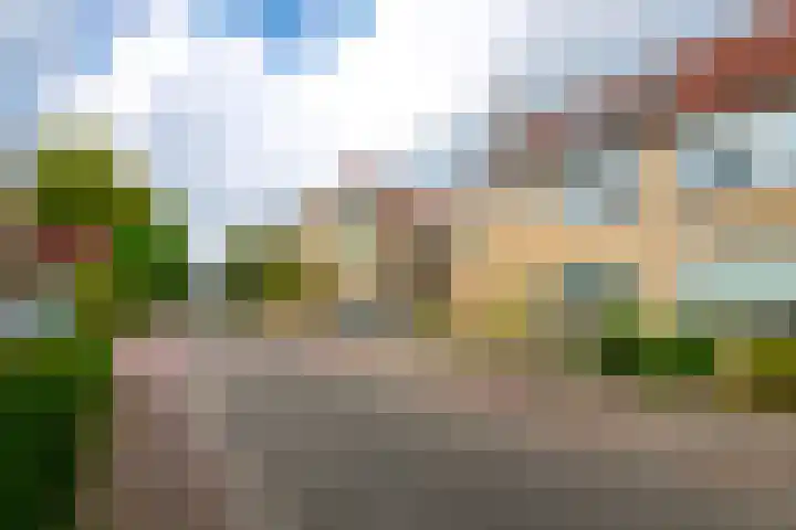 Koekoeksbloem 104 Odijk thumbnail 29