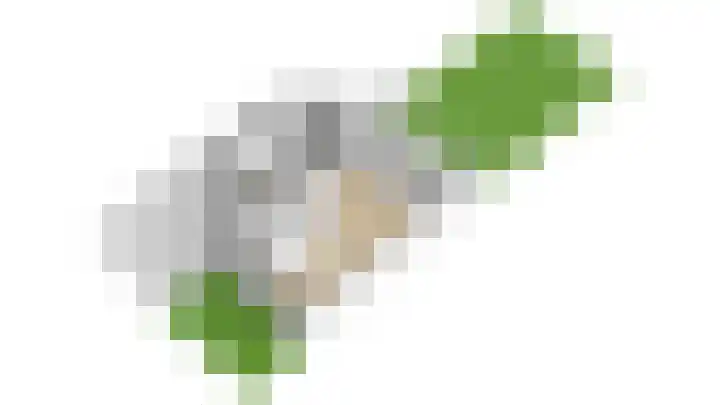 Koekoeksbloem 104 Odijk thumbnail 35