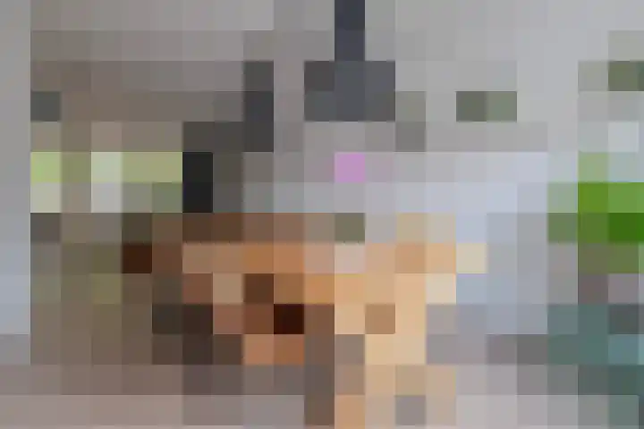 Koekoeksbloem 104 Odijk thumbnail 8