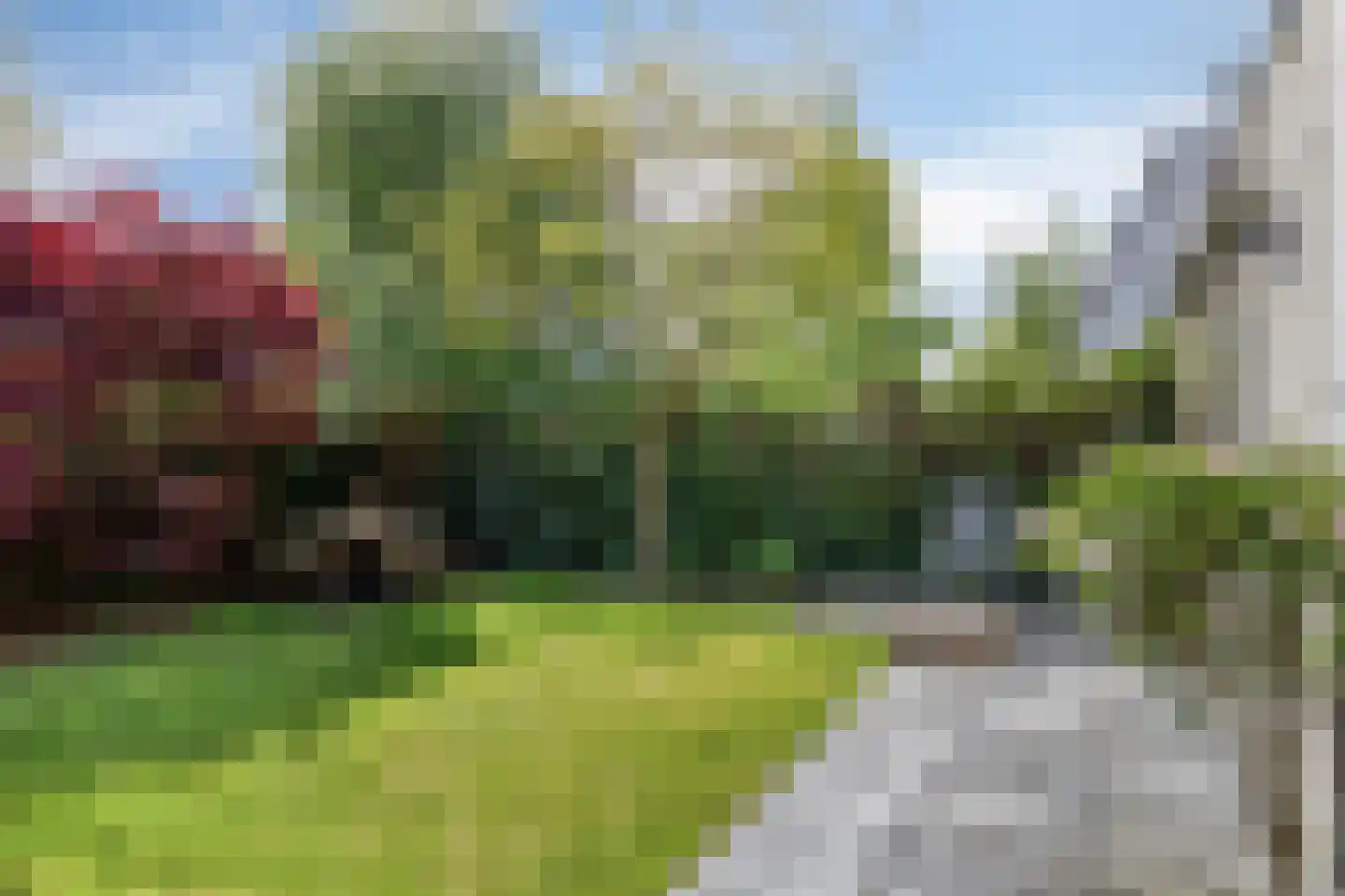Koekoeksbloem 11 Zuidhorn thumbnail 19