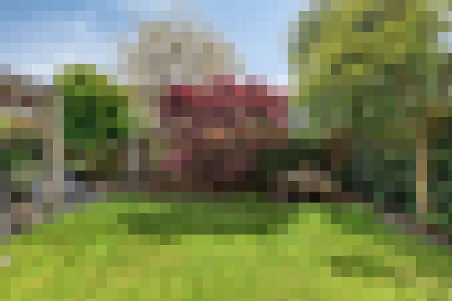 Koekoeksbloem 11 Zuidhorn thumbnail 20