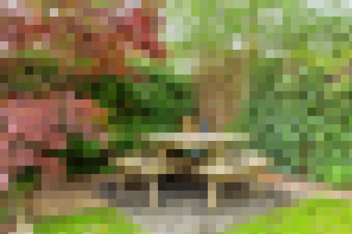 Koekoeksbloem 11 Zuidhorn thumbnail 21