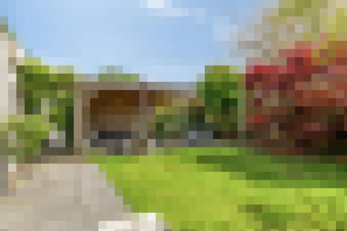 Koekoeksbloem 11 Zuidhorn thumbnail 22