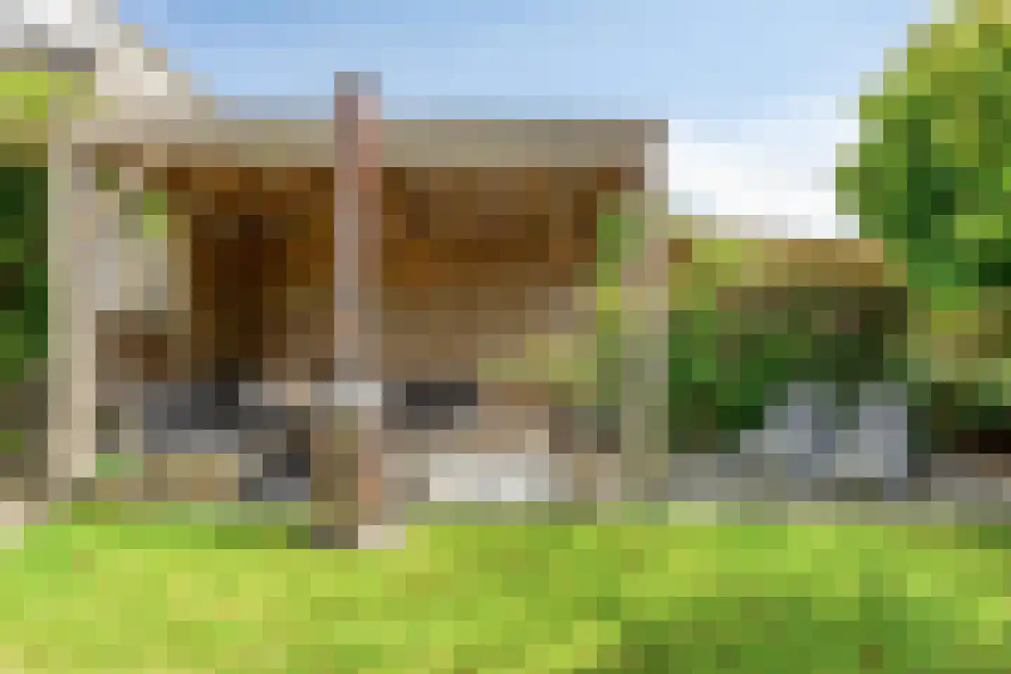 Koekoeksbloem 11 Zuidhorn thumbnail 23