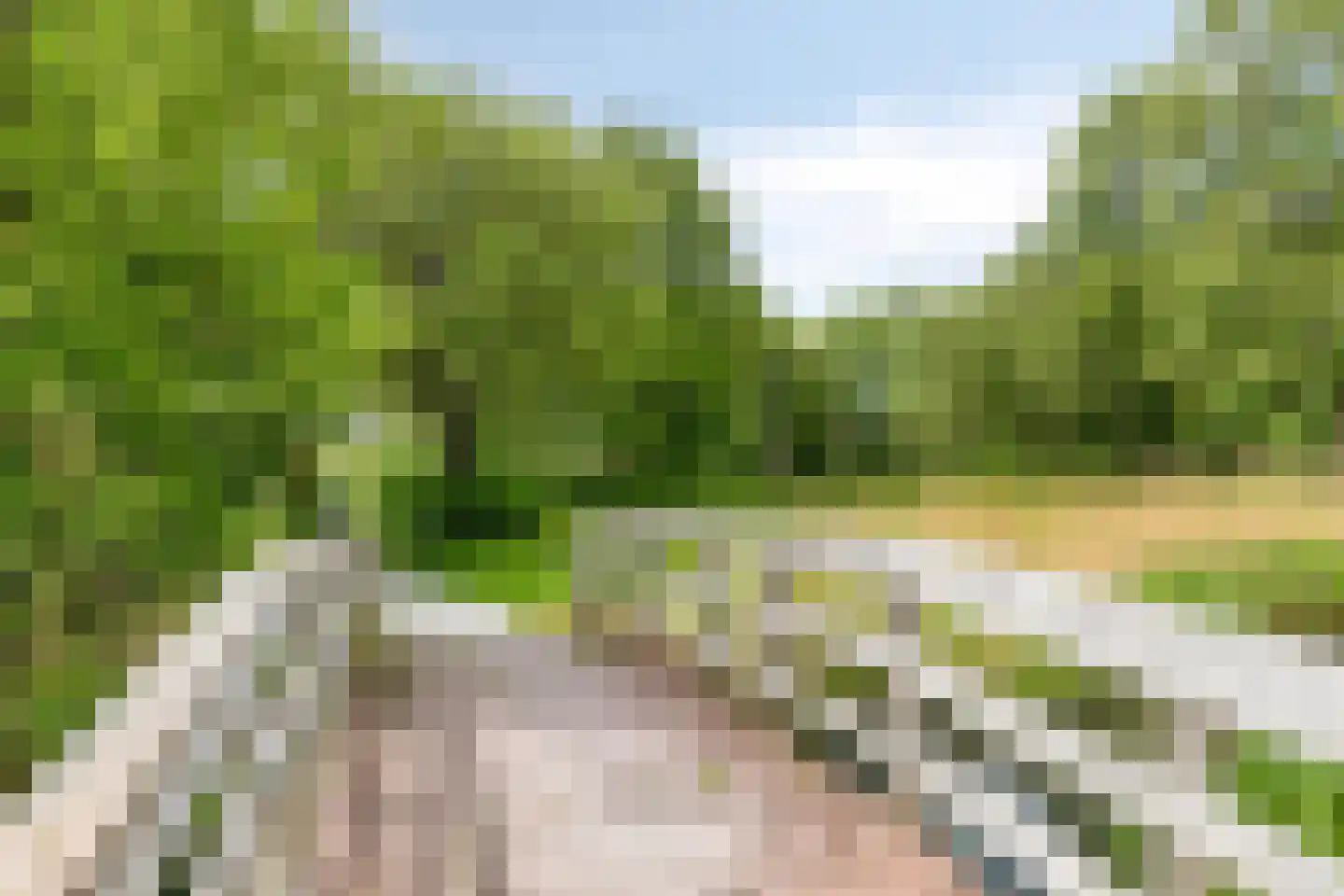 Koekoeksbloem 11 Zuidhorn thumbnail 4