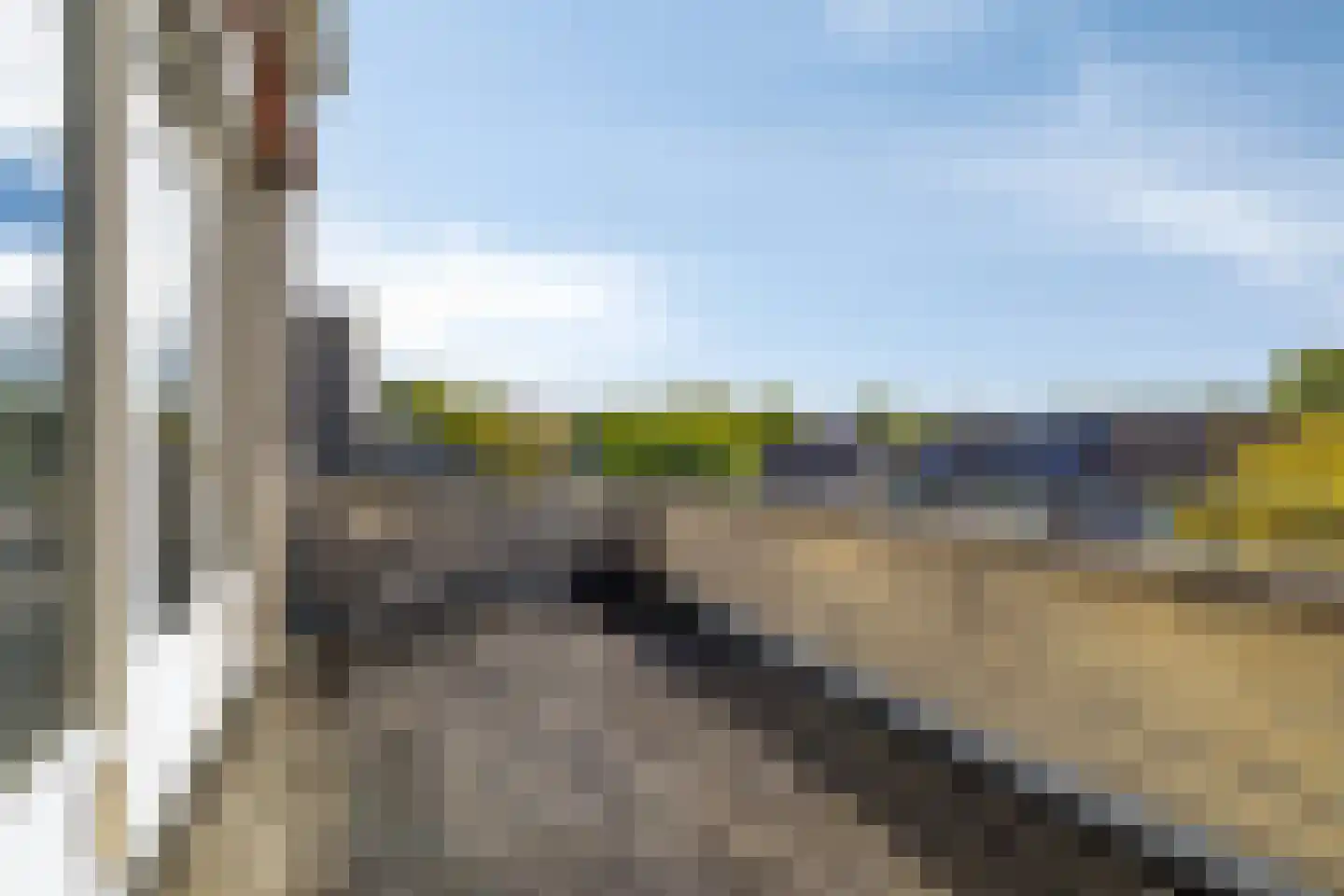 Koekoeksbloem 11 Zuidhorn thumbnail 45