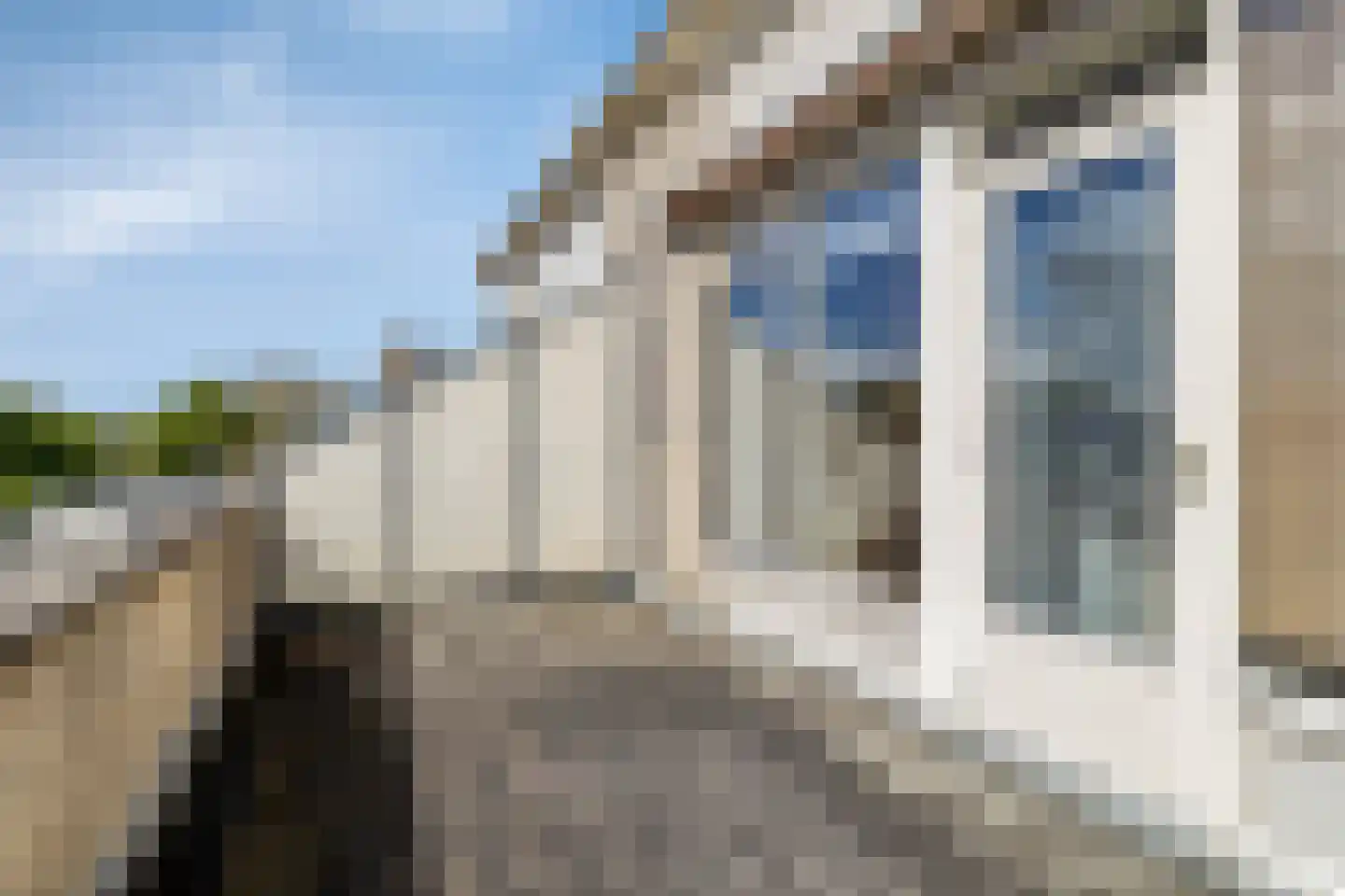 Koekoeksbloem 11 Zuidhorn thumbnail 46