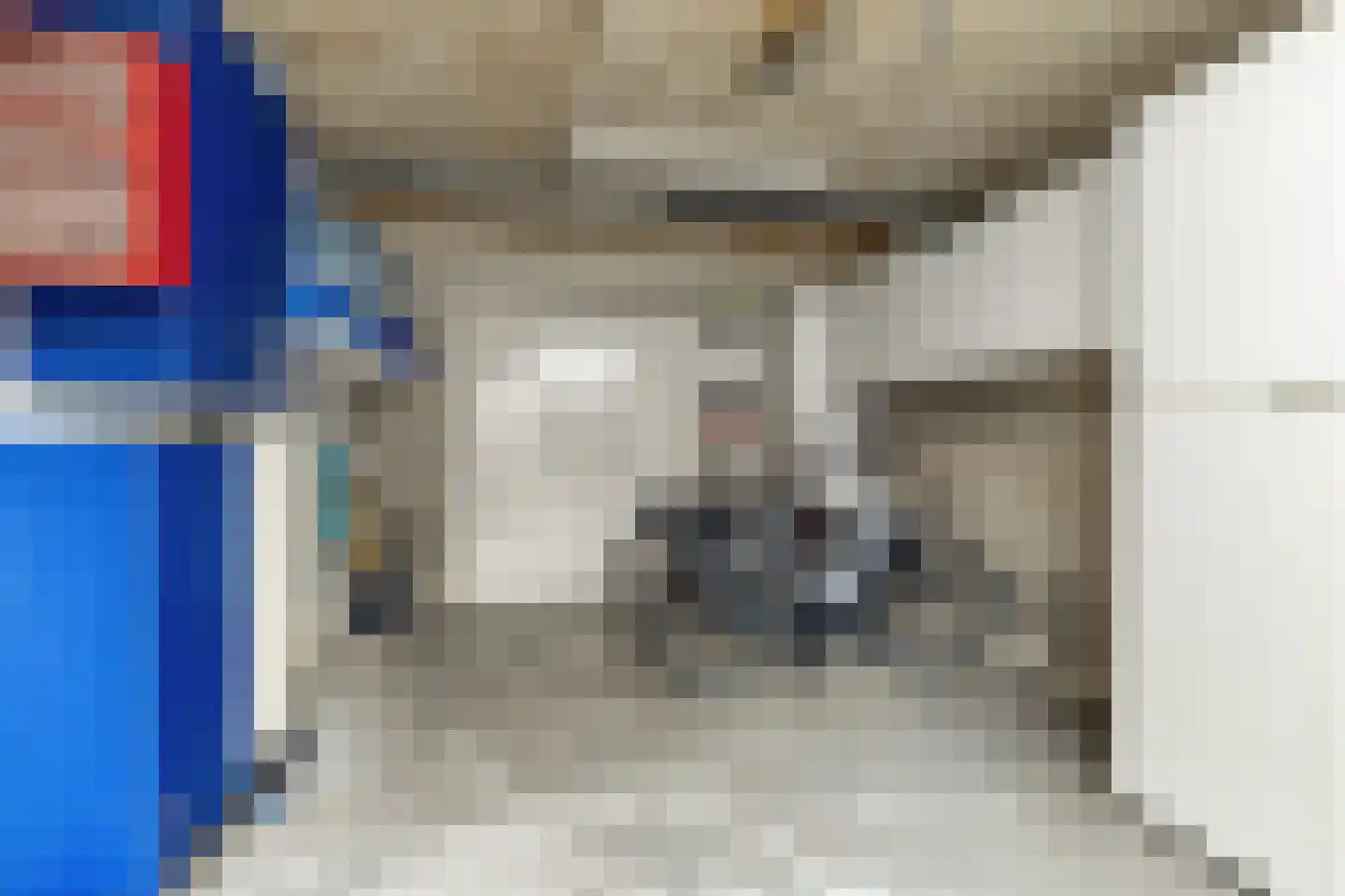 Koekoeksbloem 11 Zuidhorn thumbnail 47