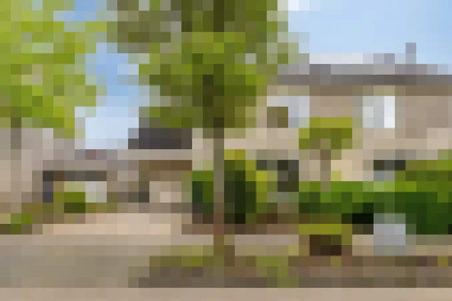 Koekoeksbloem 11 Zuidhorn thumbnail 49