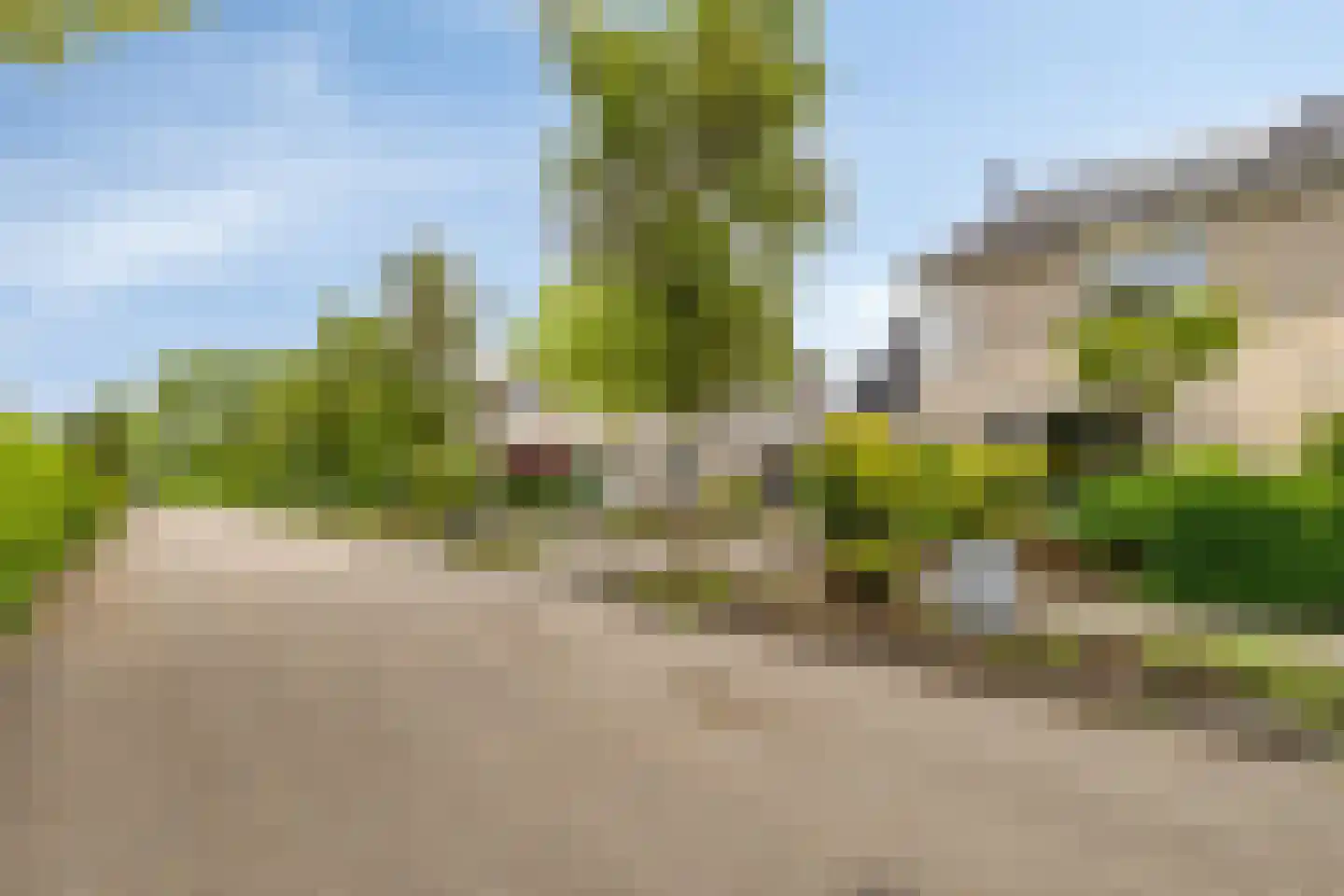 Koekoeksbloem 11 Zuidhorn thumbnail 50
