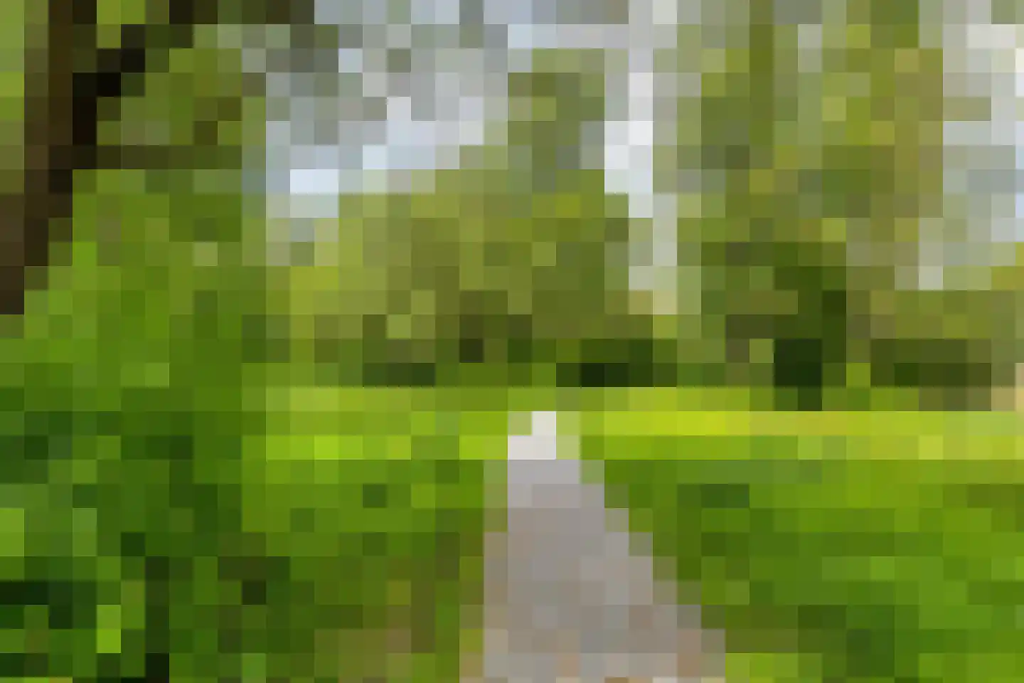 Koekoeksbloem 11 Zuidhorn thumbnail 51