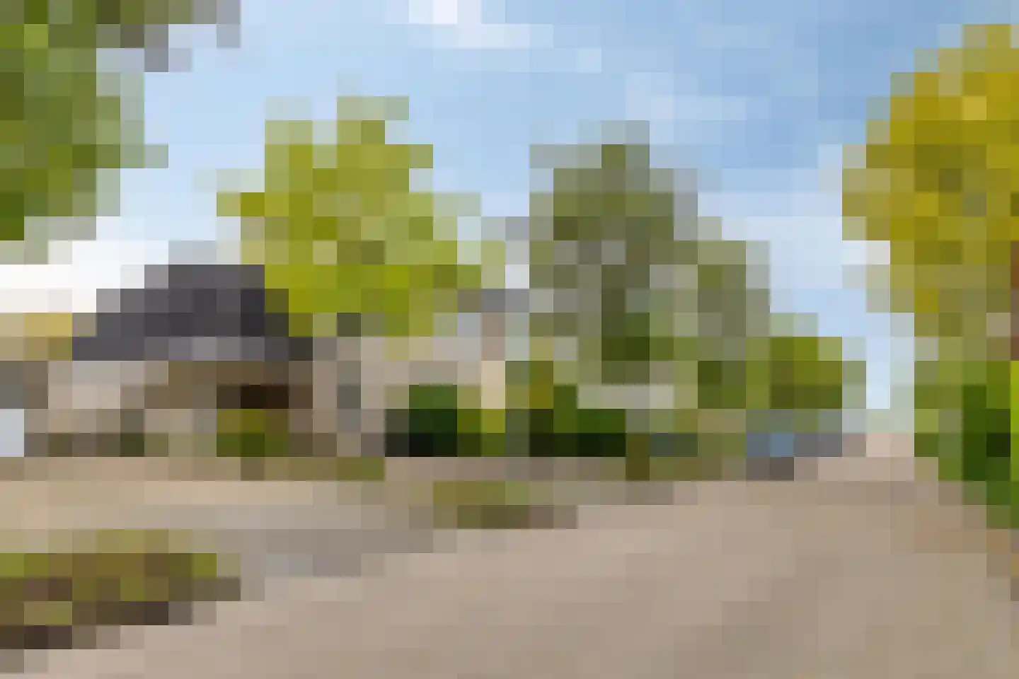 Koekoeksbloem 11 Zuidhorn thumbnail 6