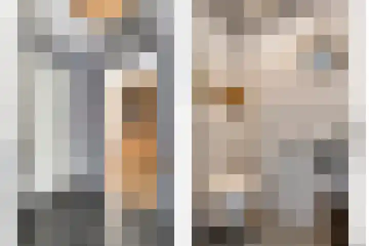 Koekoeksbloem 14 Hardenberg thumbnail 10