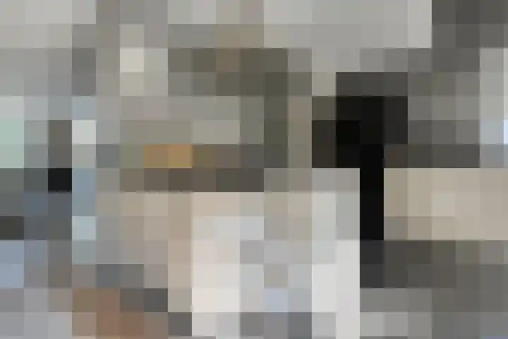 Koekoeksbloem 14 Hardenberg thumbnail 12