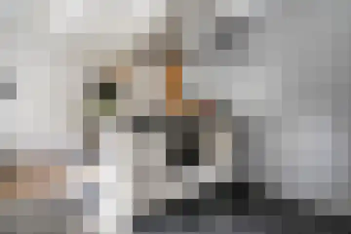 Koekoeksbloem 14 Hardenberg thumbnail 13